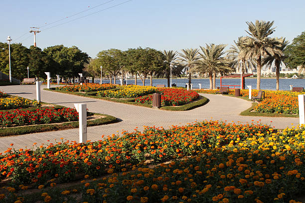 Dubai Creek Park: A Riverside Retreat in the City